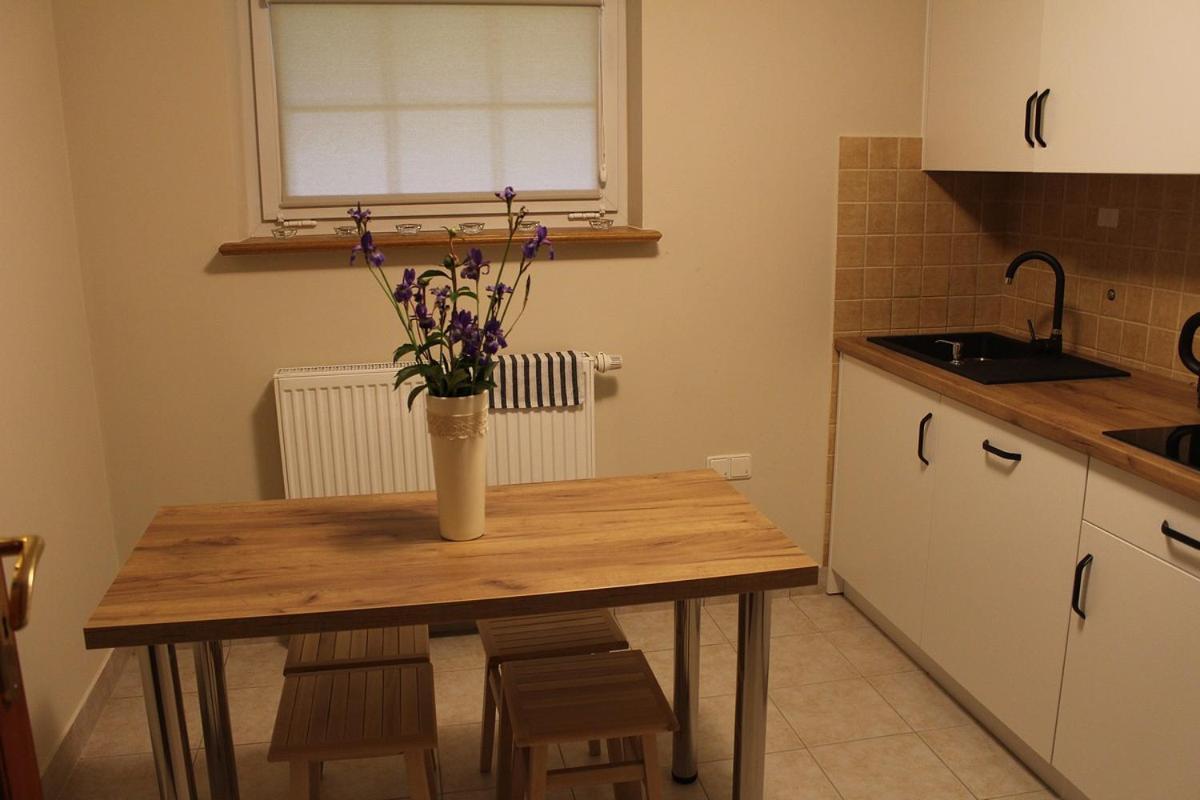 Apartamenty Nad Potokiem 扎科帕内 外观 照片